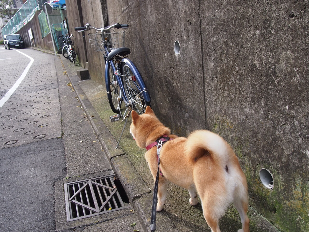 从沉寂到轰鸣，奥亚尔萨瓦尔的欧冠封神夜